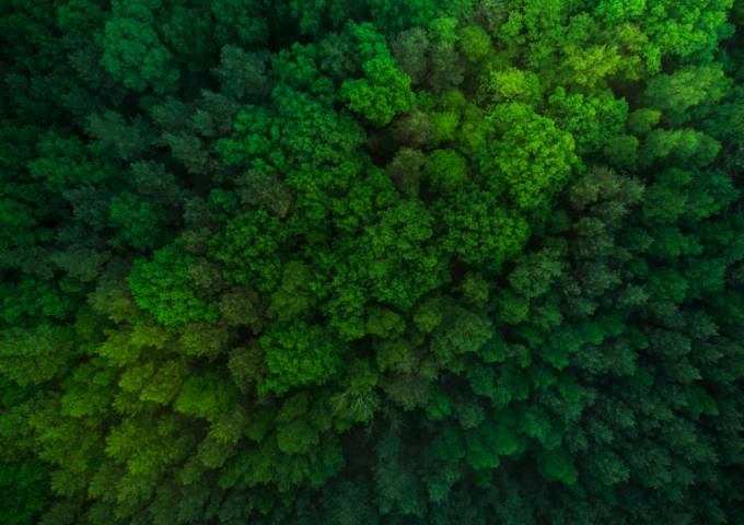 This is the profile photo of the case study "Creating a compelling proposition in the crowded LNG market" | Gas Strategies Website